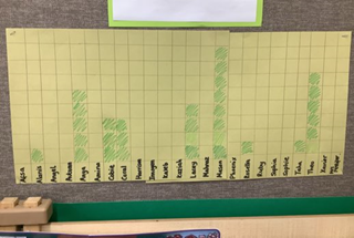 image of growth chart for beans