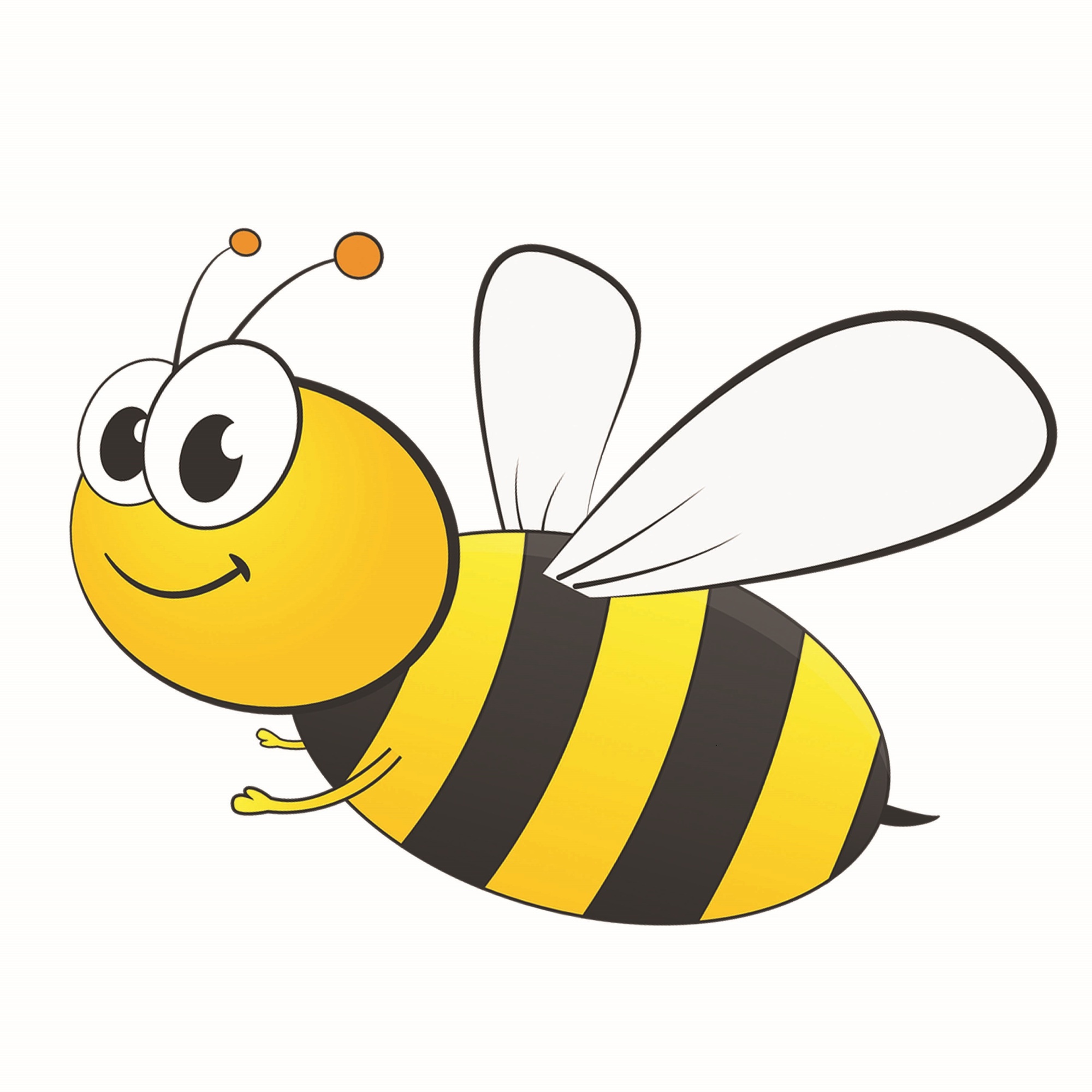 image of bumblebee