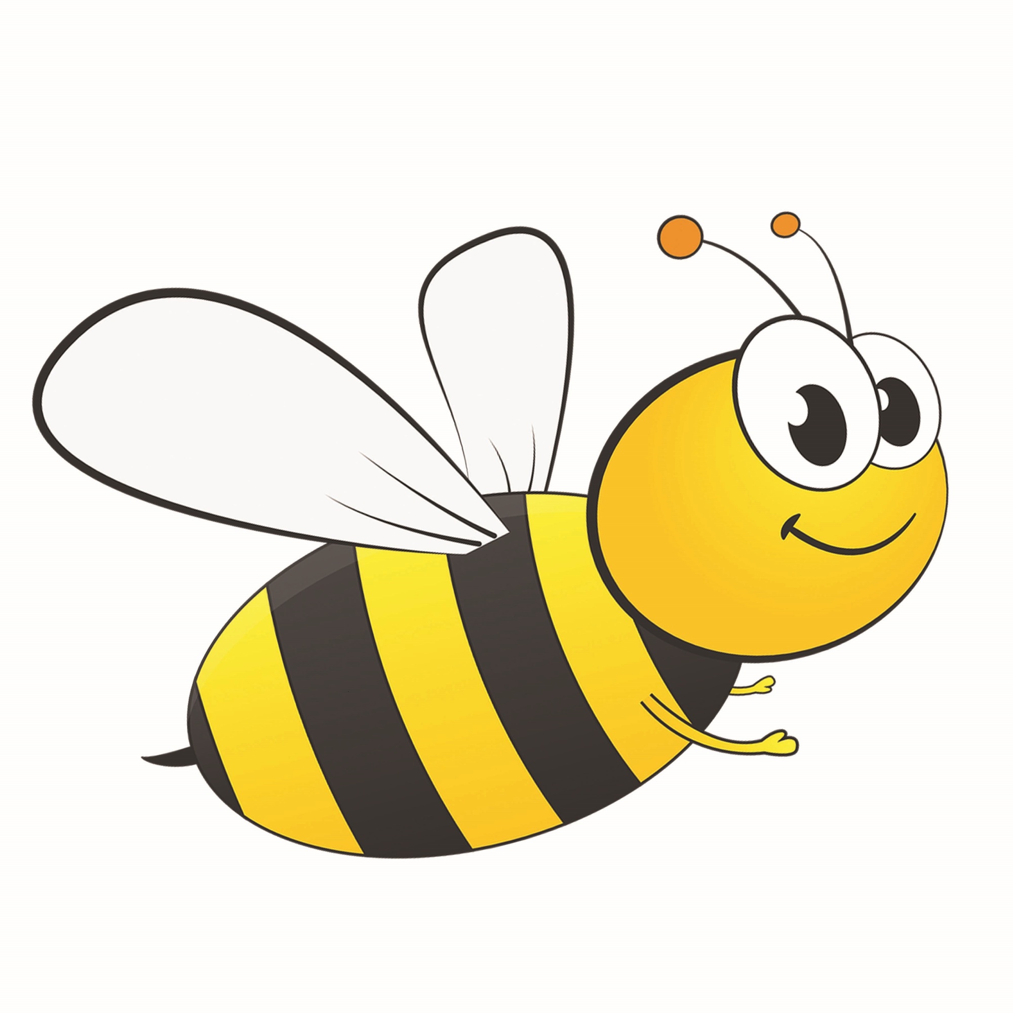 image of bumblebee