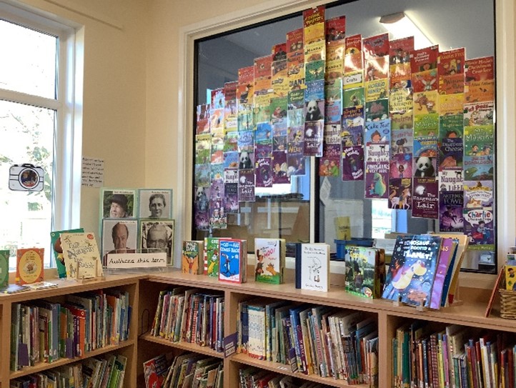 image of school library area